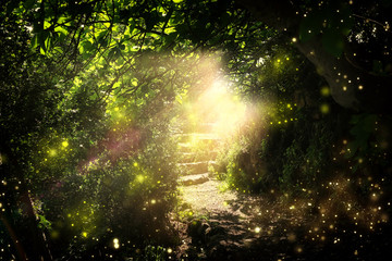Road and stone stairs in magical and mysterious dark forest with mystical sun light and firefly. Fairy tale concept