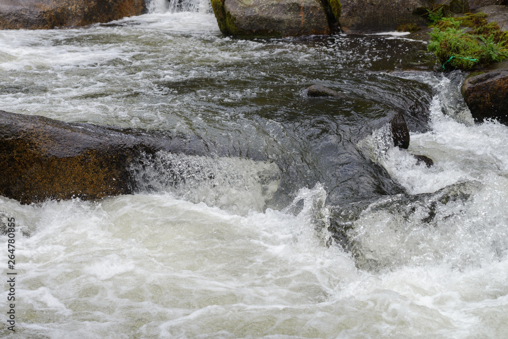 blurred image of the movement of water in a beautiful forest river with a waterfall blurred image of the movement of water in a beautiful forest river with a waterfall