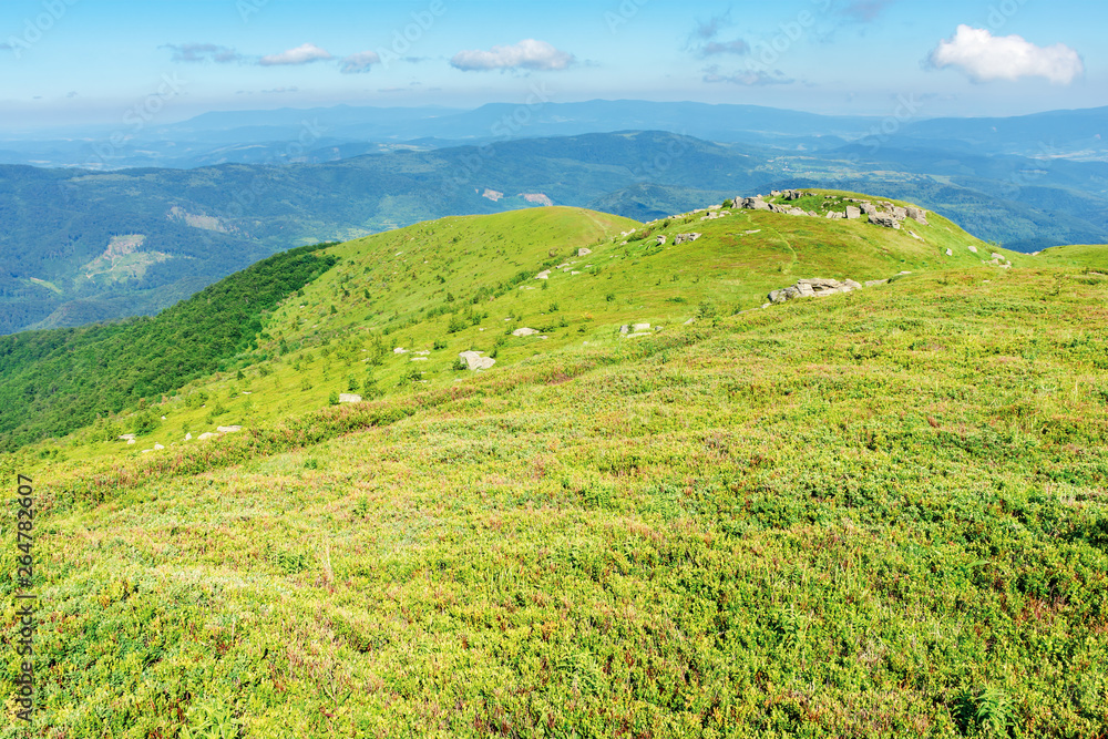 beautiful mountain landscape in summertime. green grassy hills with bunch of rocks in the distance. path through the meadow. sunny weather with fluffy clouds on a blue sky