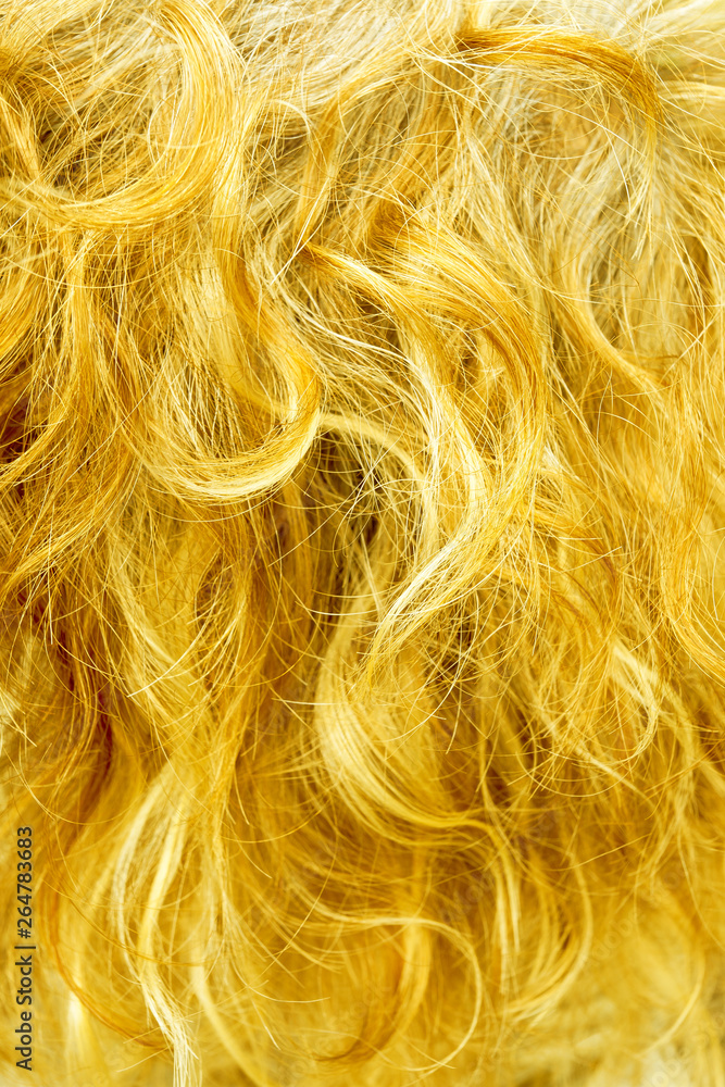 Naklejka premium Mèches de cheveux 