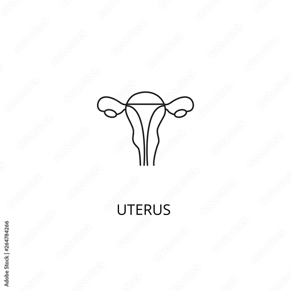 Uterus organ of the human body vector icon, outline style, editable stroke Uterus organ of the human body vector icon, outline style, editable stroke