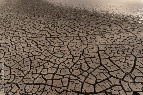 dry chapped gray soil with deep cracks; drying up lake