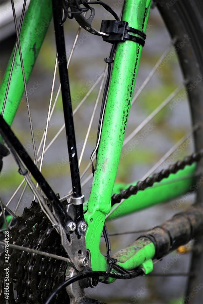 Fototapeta premium wheel of bicycle
