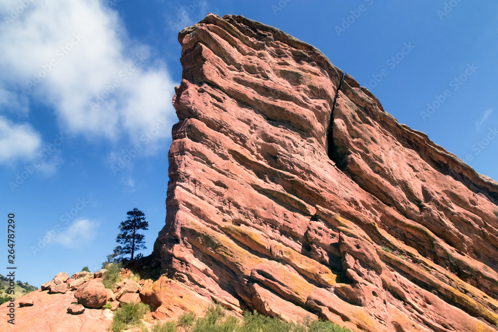 Red Rocks near Denver, Colorado USA. Lonely Pine tree at foothills of the Rocky Mountains. White clouds blue sky as background.