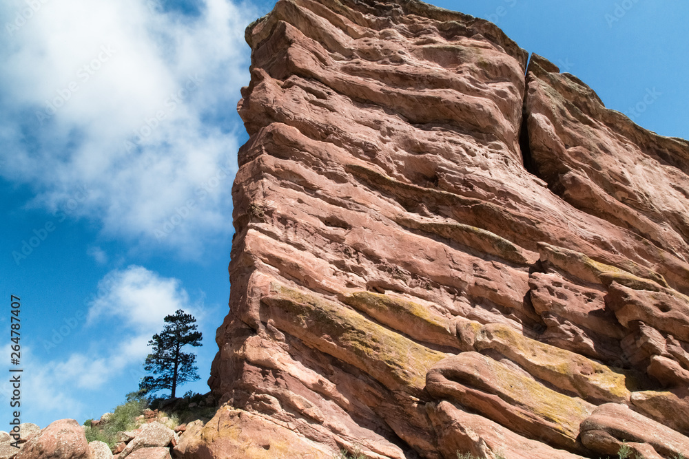 Red Rocks near Denver, Colorado USA. Lonely Pine tree at foothills of the Rocky Mountains. White clouds blue sky as background.