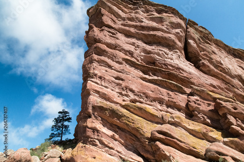 Obraz na płótnie Red Rocks near Denver, Colorado USA. Lonely Pine tree at foothills of the Rocky Mountains. White clouds blue sky as background. w salonie
