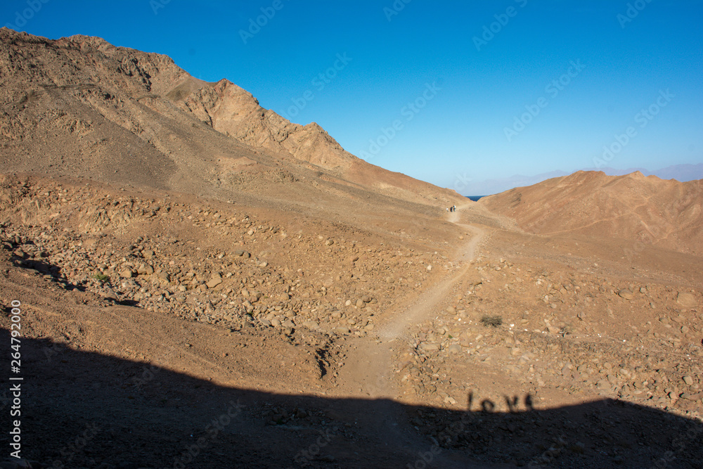 Sinai desert - love in shadow 
