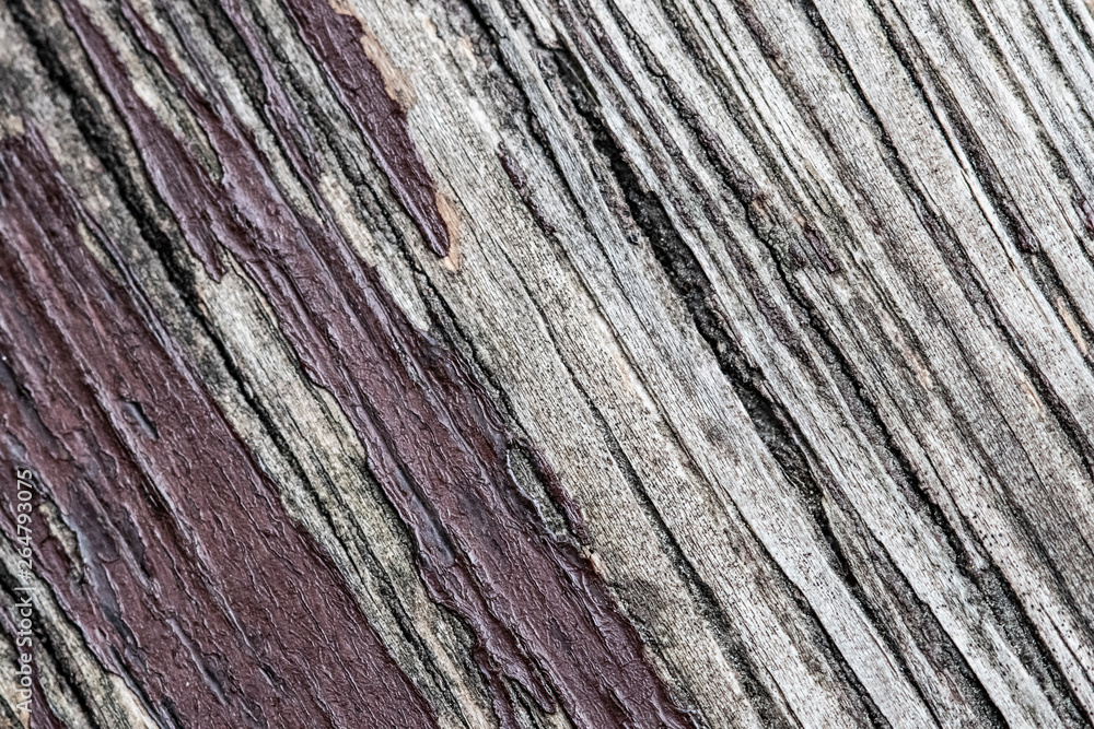 Diagonal striped wood texture close up Diagonal striped wood texture close up