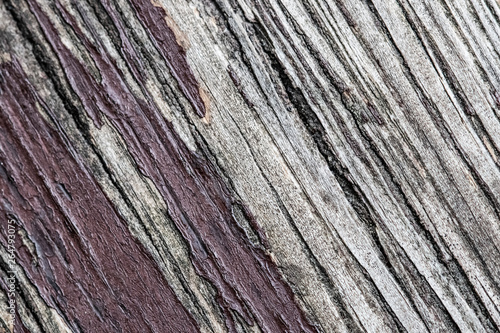 Diagonal striped wood texture close up