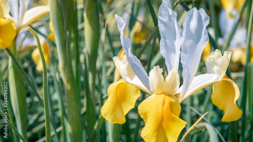 Jardin des Plantes, Paris, France 