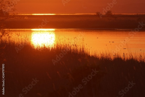 Sunset at the lake Neusiedler See