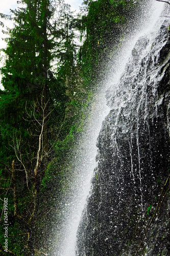 high mountain waterfall in the woods , Yalinsky mountain waterfall , Ukraine , Carpathians