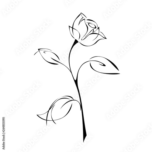 one stylized rose on a stem with leaves on a white background