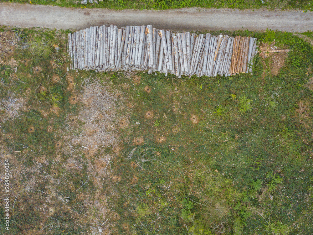 Fototapeta premium Aerial view of stack of timber logs. Pile of trees in forest in deforestated area.