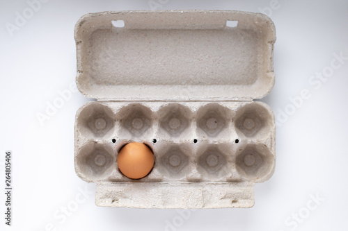 one chicken brown egg in a tray, top view