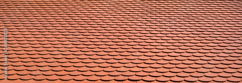 Roof tiles red color photographed in the distance © Roberto Sorin