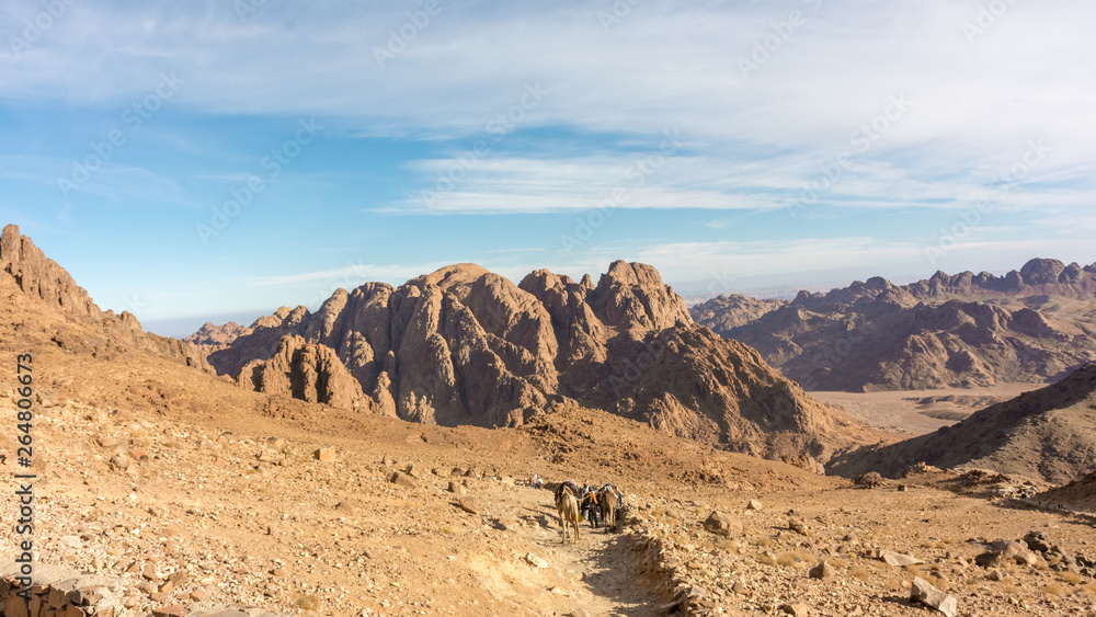 Sinai  desert and mountains 