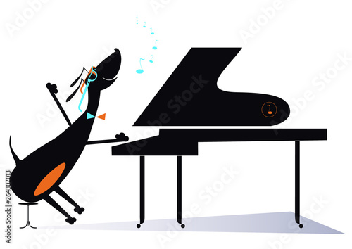 Cartoon dog a pianist illustration. Comic dachshund plays music on piano isolated on white illustration
