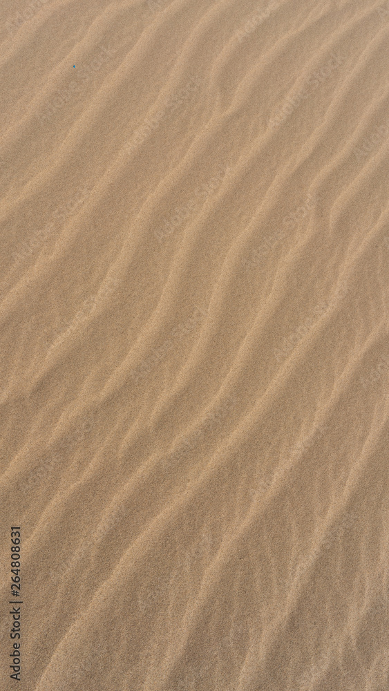 close up sand close up sand