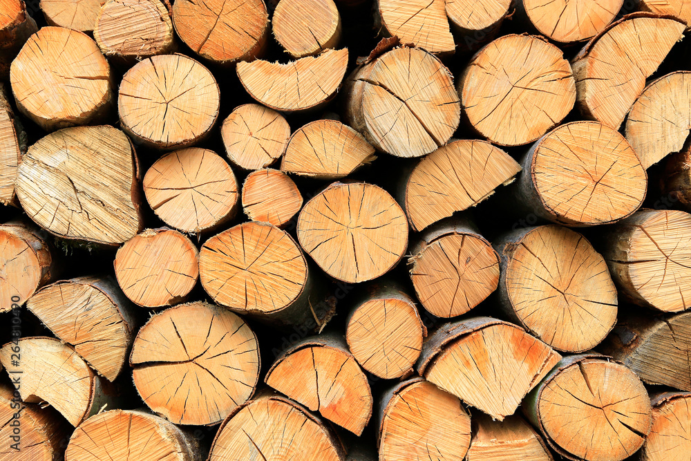 Firewood pile stacked chopped wood trunks Firewood pile stacked chopped wood trunks