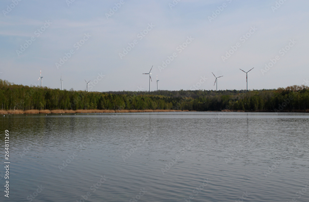 Ein Windpark in Sachsen Anhalt