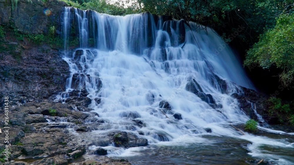 Obraz premium Waterfall in the Kauai Forest