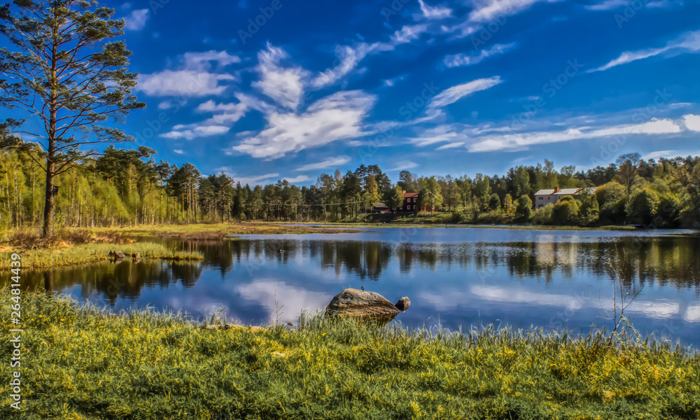 amazing summer day near by a little pond in Sweden amazing summer day near by a little pond in Sweden
