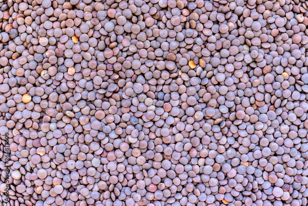 Brown lentils texture background, vegetable protein source fo vegetarians and vegans Brown lentils texture background, vegetable protein source fo vegetarians and vegans
