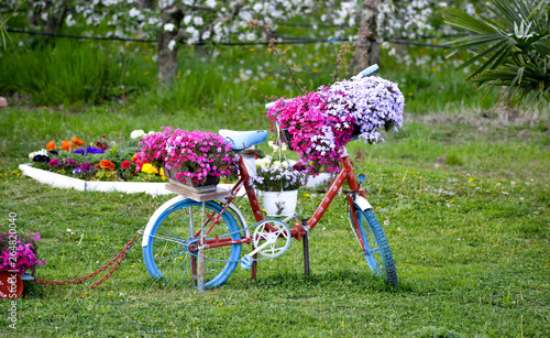 Beautiful colorful flowers on old bicycle concept of wedding and valentine in the garden background