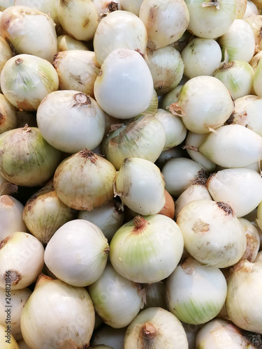 White onion  fresh natural and healthy