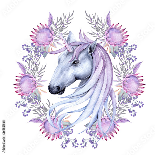 Fairy unicorn. Isolated on white background.