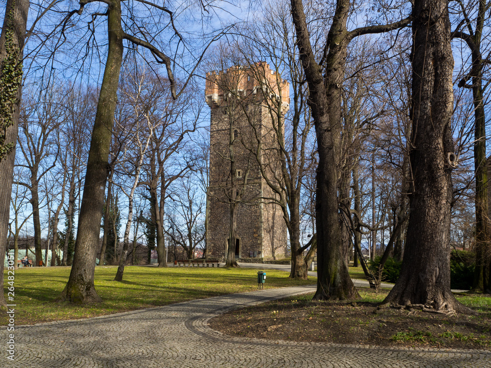 cieszyn the piast tower