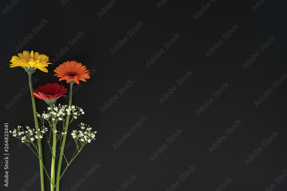 Gerbera flowers and gypsophila isolated against a blackboard with copy space