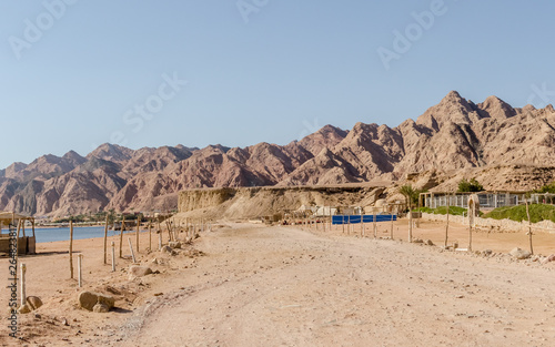 the nature of Sinai desert