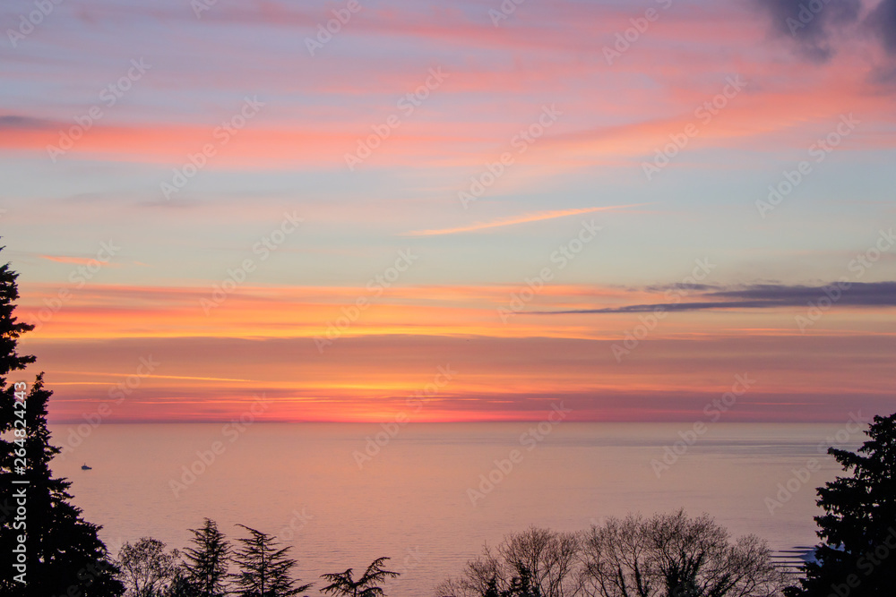 Bright watercolor sunset over the sea, framed by silhouettes of plants. Background.
