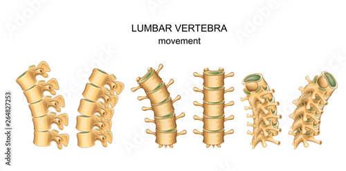 movement in lumbar vertebrae