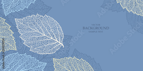 Blue background with leaves. Nature banner. Frame with plants. Template 