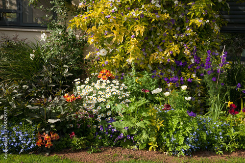 Fototapeta Naklejka Na Ścianę i Meble -  Beautiful Garden with lots of plants