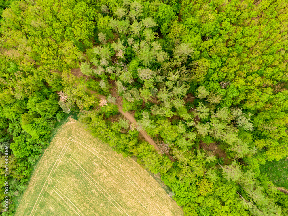 Aerial drone view of field, trees and forest in agriculture land. Top look  to meadow near village and farm. Beautiful green fresh crop on spring day  after rain Stock Photo | Adobe