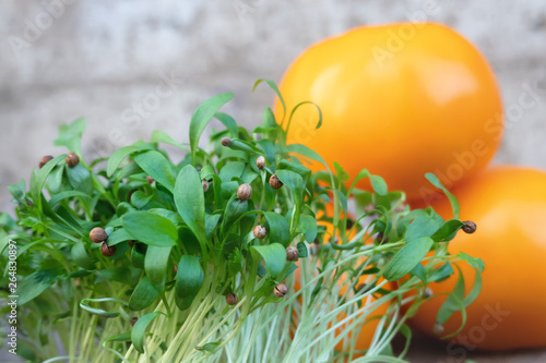 Young green coriander sprouts on a background of yellow tomatoes. On litany of coriander there are seed shells. Healthy food. Background.
