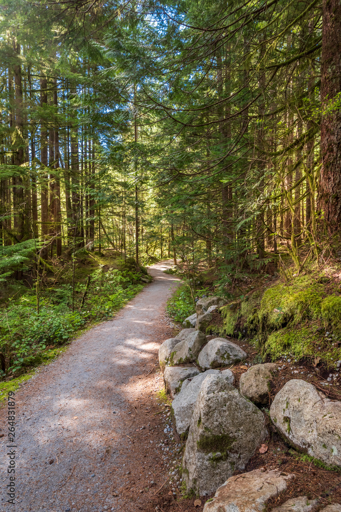 View at Trail in Park. Rice Lake. Vancouver. Canada.