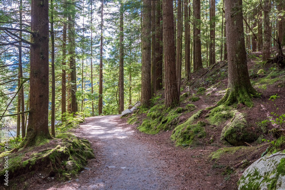 View at Trail in Park. Rice Lake. Vancouver. Canada. View at Trail in Park. Rice Lake. Vancouver. Canada.
