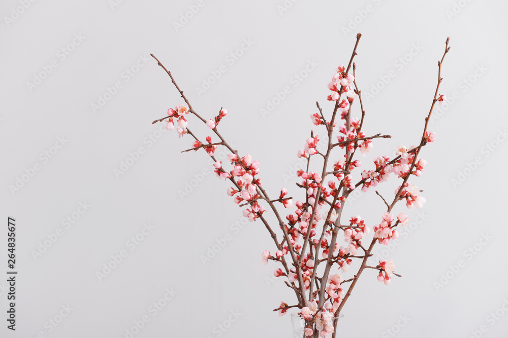 Beautiful blossoming branches on light background Beautiful blossoming branches on light background