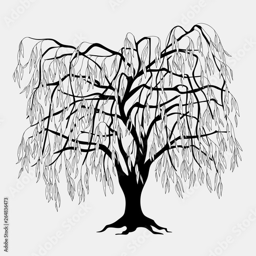 Black silhouette willow tree with leaves