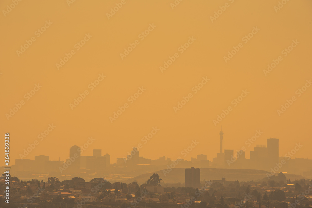 Fototapeta premium The Johannesburg skyline silhouetted against a golden sky