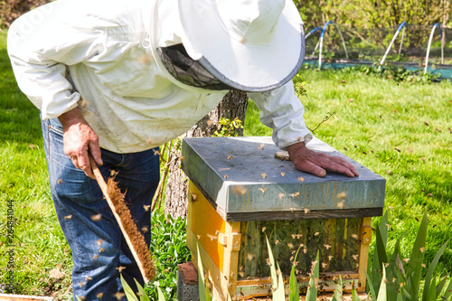 The beekeeper looking at the bee to the hive. Care of bees in the apiary. photo