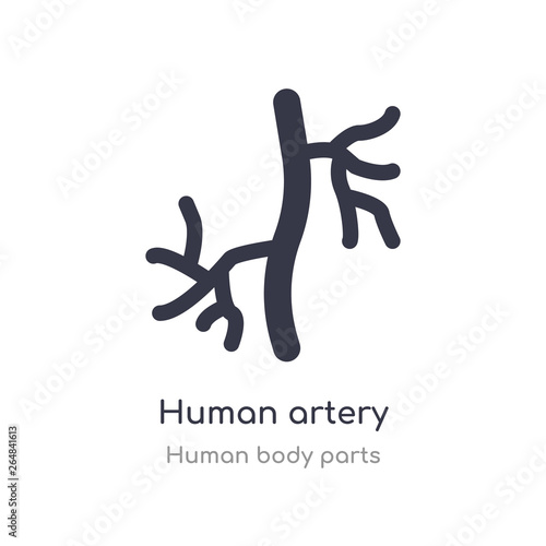 human artery outline icon. isolated line vector illustration from human body parts collection. editable thin stroke human artery icon on white background