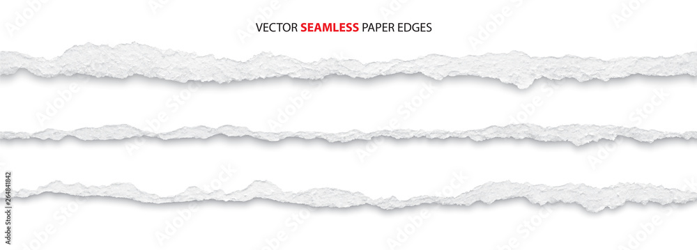 Aged paper with torn edges Royalty Free Vector Image