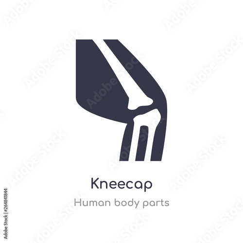 kneecap outline icon. isolated line vector illustration from human body parts collection. editable thin stroke kneecap icon on white background