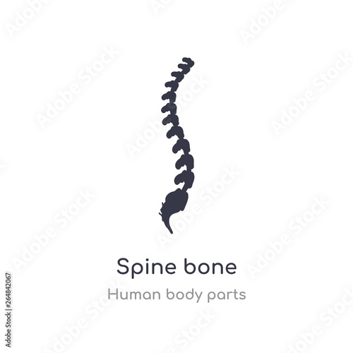 spine bone outline icon. isolated line vector illustration from human body parts collection. editable thin stroke spine bone icon on white background